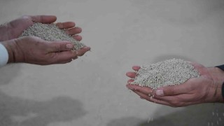 Küresel gübre krizine yerli çözüm: Arz sorunu yok