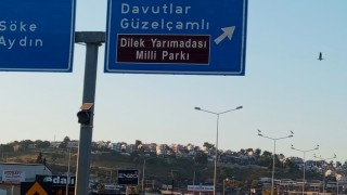 Kuşadasında leylekler geri döndü
