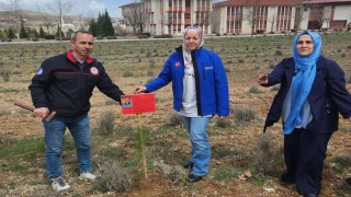Kütahyada şehit itfaiye eri anısına fidan dikildi
