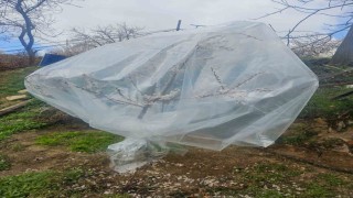 Malatyada kayısı üreticileri zirai don için alarma geçti