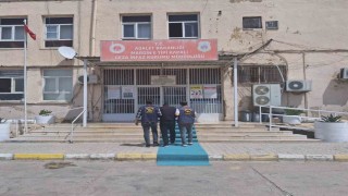 Mardinde 50 yıl cezası bulunan 2 firari yakalandı
