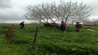 Mardinde kuyuya düşen ineği itfaiye kurtardı