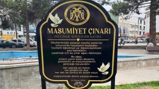 Masumiyet Çınarları kaybedilen canların hatırası için dikildi