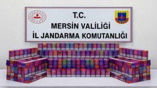 Mersinde 650 gümrük kaçağı elektronik sigara ele geçirildi