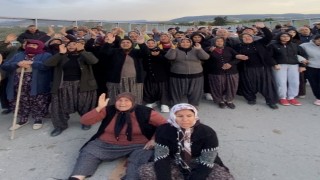 Mersinde ormanlık alana ekili narenciye bahçelerinin kaldırılması kararına tepki