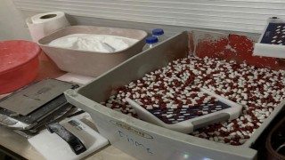 Mersinde sentetik ecza imalathanesine operasyon: Binlerce hap ele geçirildi, 2 tutuklama