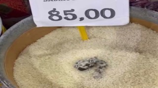 Mersinde skandal görüntü: Pirinçten kedi dışkısı çıkan markete ceza