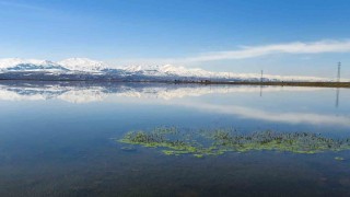 Meteorolojiden zirai don uyarısı