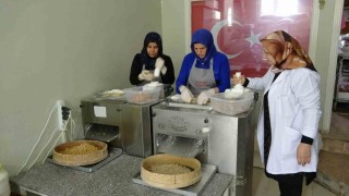 Misafirlerine yaptığı yuvalama hayatını değiştirdi