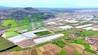 Modern tarımın yeni adresi Bafra: Karadenizde başarı hikayesi yazılıyor