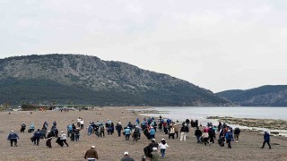 Muğla Büyükşehirden sahillerde temizlik seferberliği