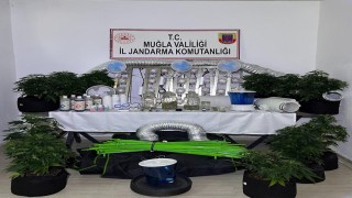 Muğla Jandarmasından zehir tacirlerine Mart ayı darbesi: 173 gözaltı
