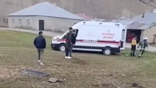 Muradiye-Çaldıran Yolunda kaza
