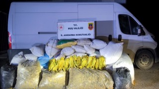 Muşta 1 ton 200 kilogram bandrolsüz tütün ele geçirildi