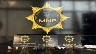Muşta narkotik operasyonu: 9 şüpheliye adli işlem