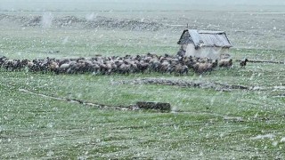 Muşta nisan karı etkisini sürdürüyor: 22 köy yolu ulaşıma kapandı