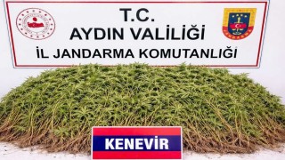 Nazillide uyuşturucu operasyonu