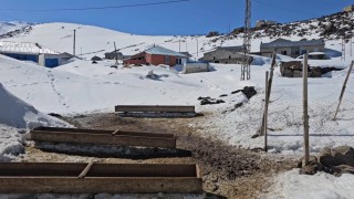Nisanda kara gömülen mahalle: Kışkılıya bahar gelmedi