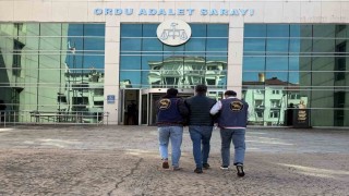 Orduda jandarma aranan 62 şüpheliyi yakaladı