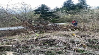 Ormanlık alanda çıkan yangın büyümeden söndürüldü