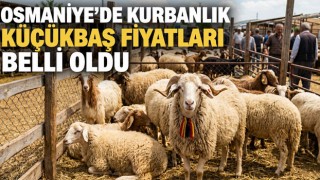 Osmaniye’de Kurbanlık Küçükbaş Fiyatları Belli Oldu