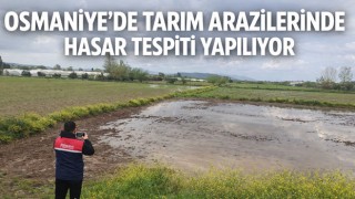 Osmaniye’de Tarım Arazilerinde Hasar Tespiti Yapılıyor