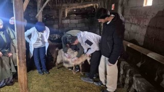 Özalpte çiftçilere yönelik eğitim seferberliği başlatıldı