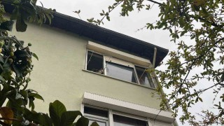Pencereden bakan ev kedisi itfaiyeyi alarma geçirdi