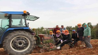 Poşusunu takan Kaymakam Kuran üreticilerle birlikte kekik dikti