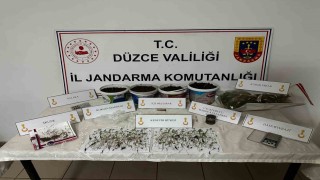 Saksıda kenevir yetiştiren şahıs gözaltına alındı