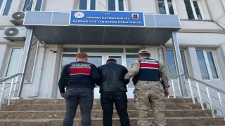 Şanlıurfada 13 yıl hapis cezası bulunan hükümlü yakalandı