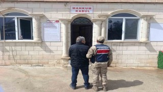 Şanlıurfada aranan 2 şahıs yakalandı