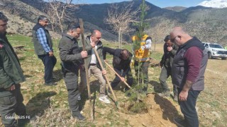 Sasonda şehitler anısına fidanlar toprakla buluşturuldu