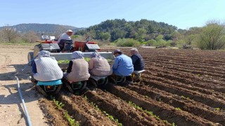 Selendide tarım işçisi yevmiyesi 1400 TL oldu