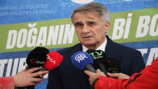 Şenol Güneş: Milli takımın çeyrek finale kadar rahat gelebilecek bir görüntüsü var