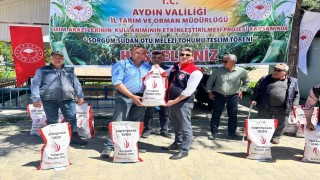 Silajlık mısıra alternatif olan sorgum otu üreticilere dağıtıldı