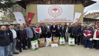 Simavda çiftçilere yüzde 75 hibeli tohum desteği