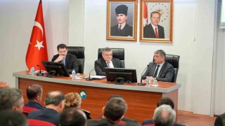 Sinopta sokak hayvanları için yol haritası belirlendi