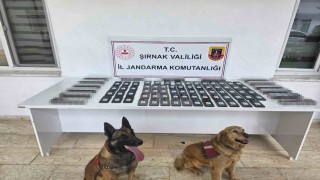 Şırnakta jandarmadan asayiş, kaçakçılık ve narkotik operasyonu
