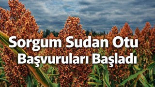 Sorgum Sudan Otu Başvuruları Başladı