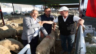 Talasta Kurban Pazarı başvuru tarihi belli oldu