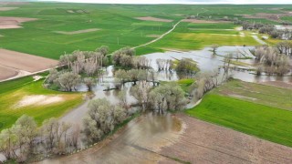 Tarım arazilerini sular altında bırakan Kanak Çayı dronla görüntülendi