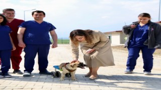 Tekirdağda can dostları için 10 bin metrekarelik yaşam alanı