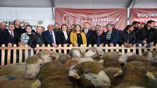 Tekirdağda küçükbaş hayvancılık festivali