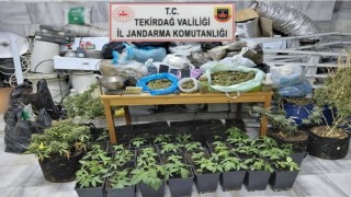 Tekirdağda uyuşturucu operasyonu: 1 tutuklama