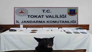 Tokatta jandarmadan zehir tacirlerine operasyon: 5 gözaltı