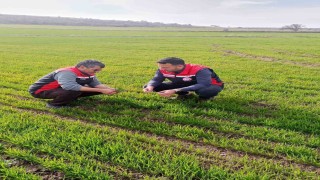 Tomarzada zirai don uyarısı sonrası saha kontrolleri devam ediyor