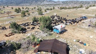 Toroslarda Yörük göçü başladı: Sarıkeçililer yayla yolunda