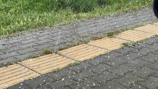 Tuncelide gök gürültülü sağanak ve dolu yağışı etkili oldu