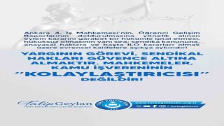 Türk Eğitim-Sen Genel Başkanı Geylan: Mahkemeler, kamu işvereninin kolaylaştırıcısı değildir